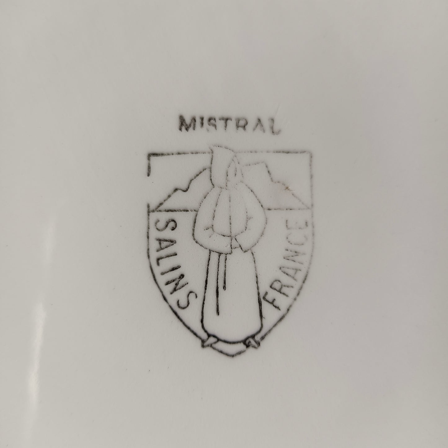 Plat Mistral Salins