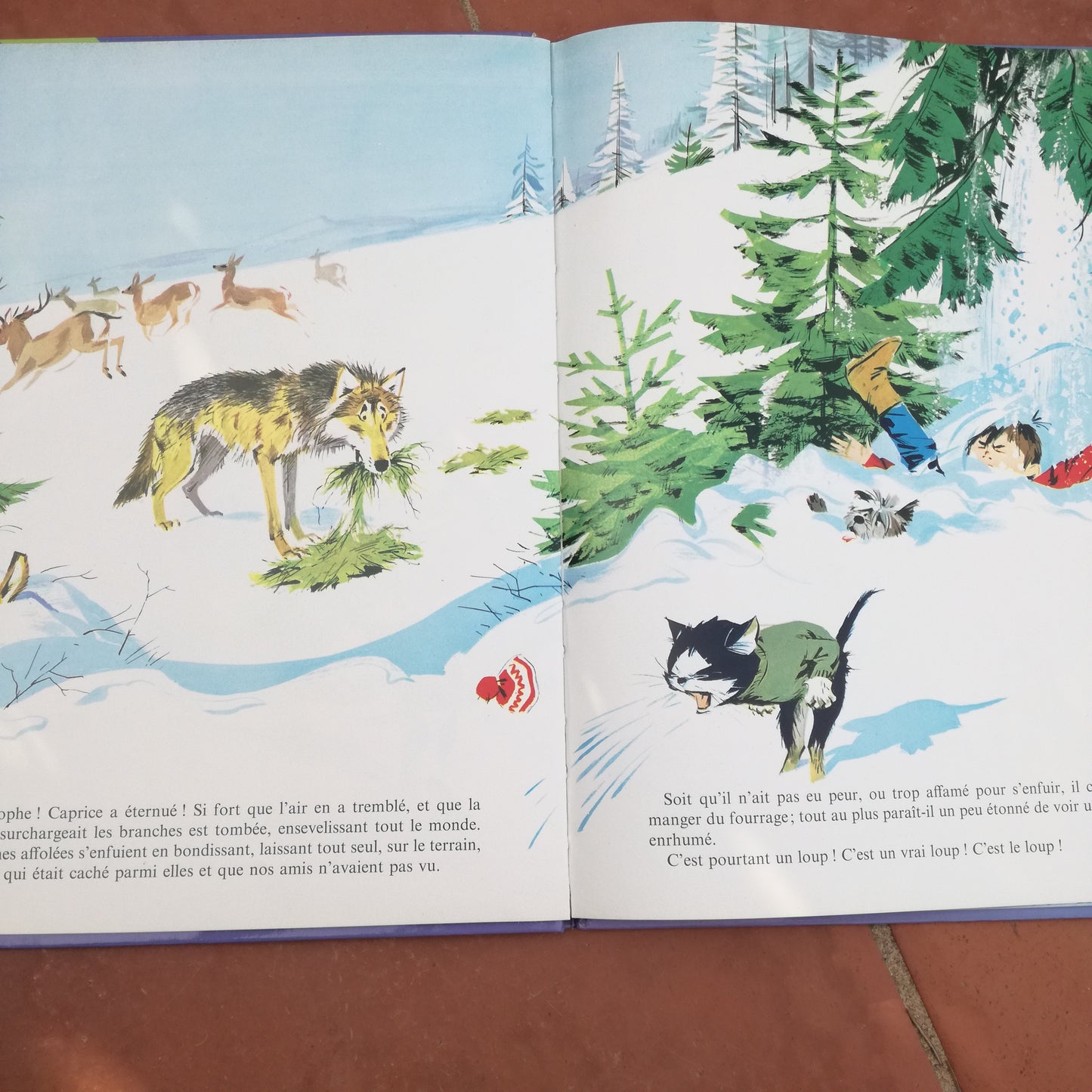 Livre jeunesse Le Jardin des Rêves Hachette