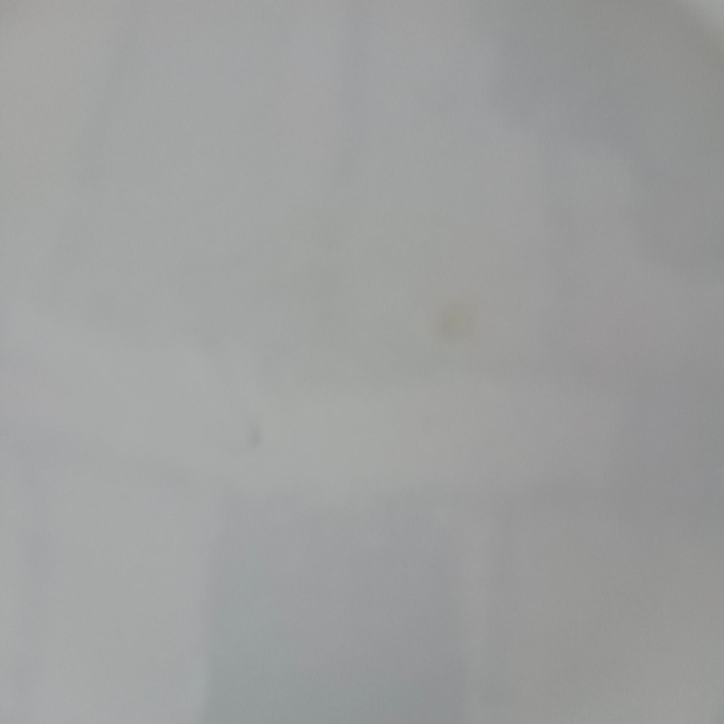 Plat HBCM (Hippolyte Boulenger - Creil & Montereau)