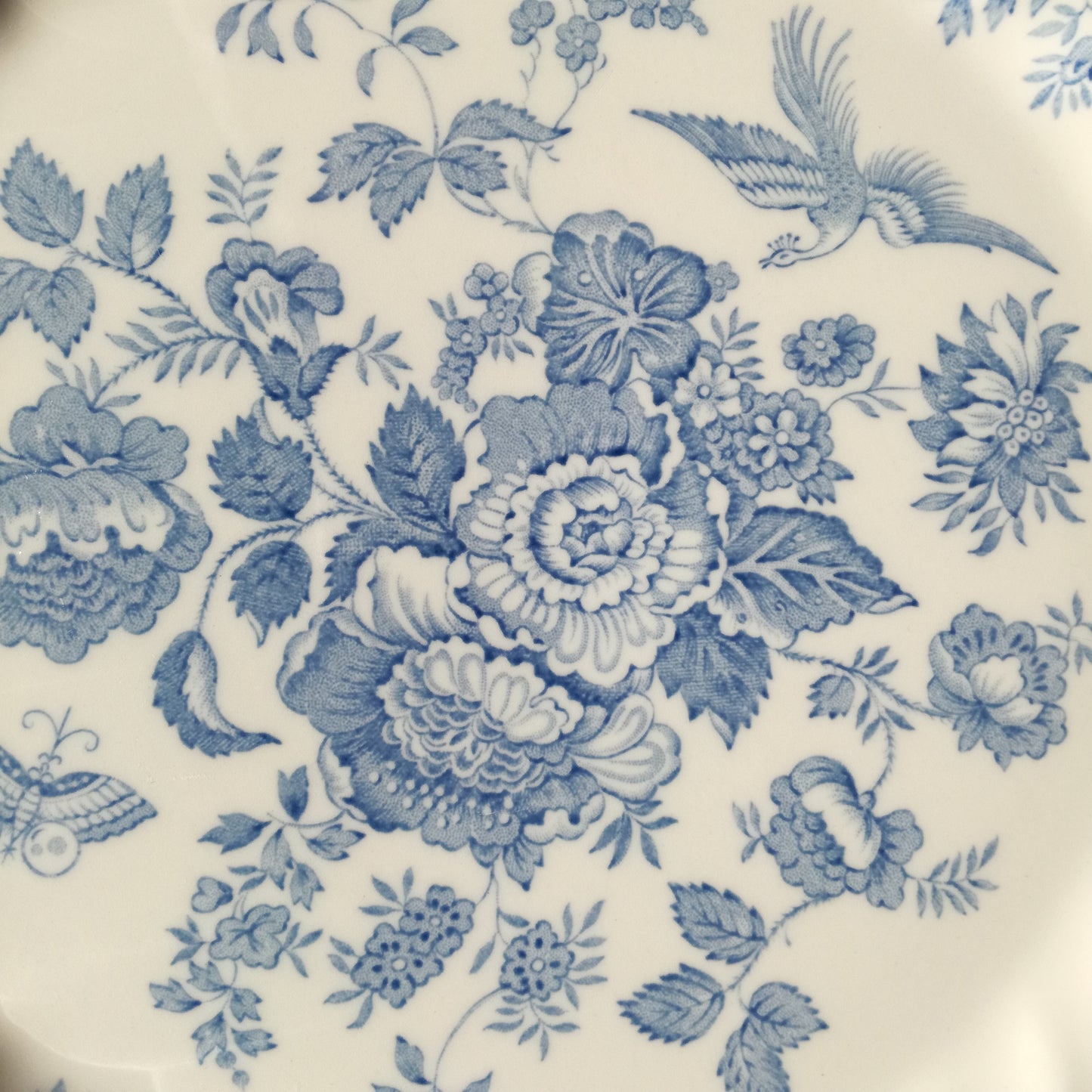 Assiette - grande plate