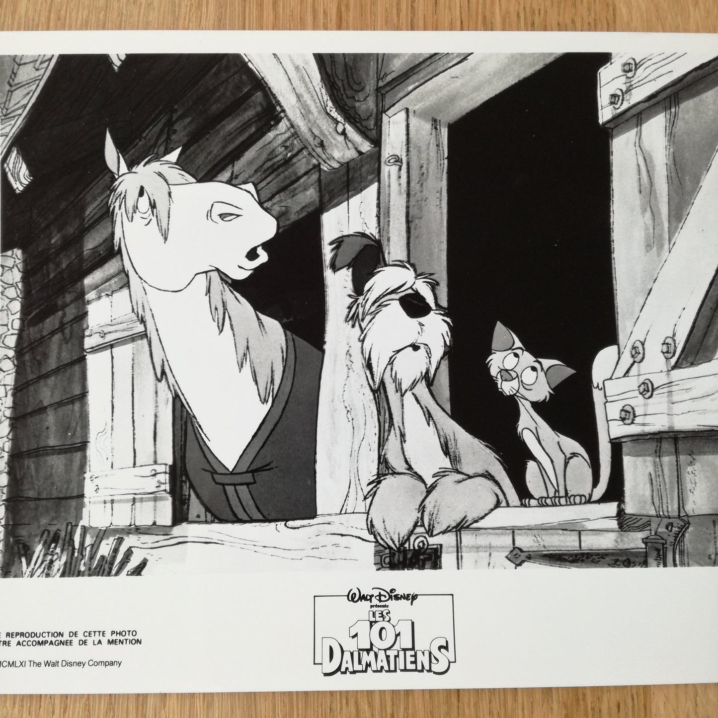 Photographie Walt Disney