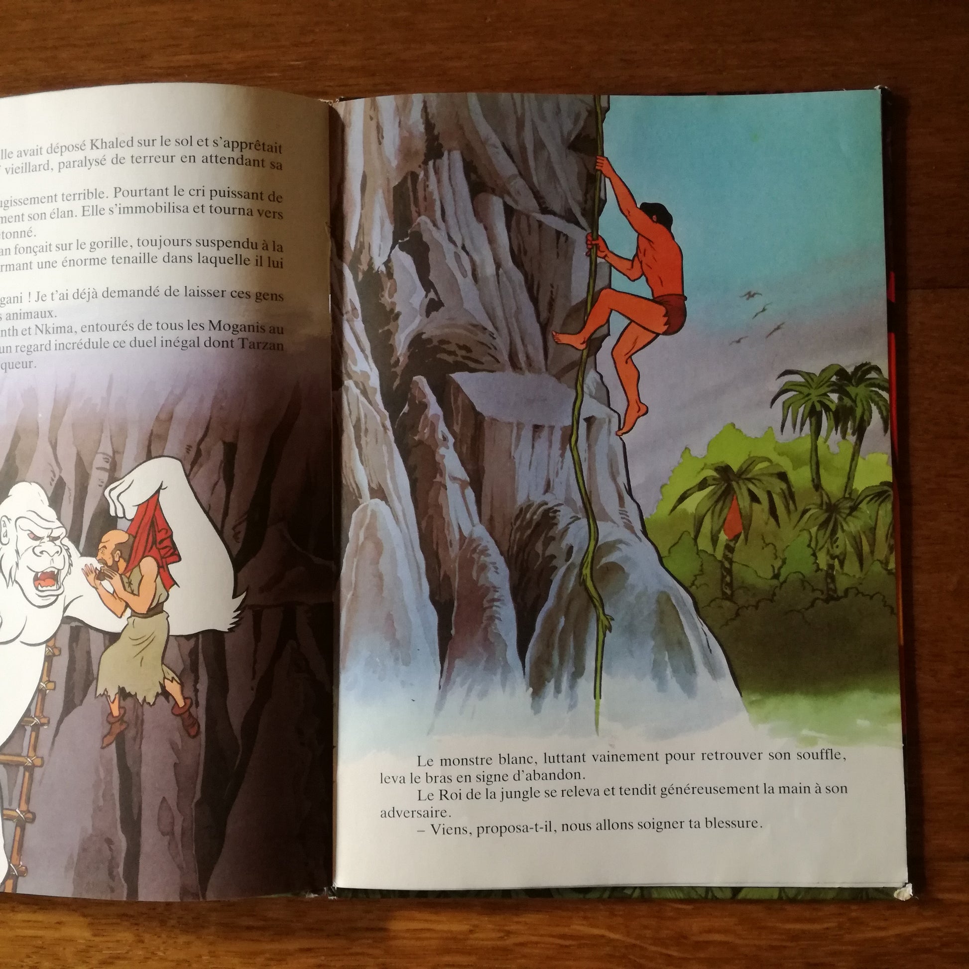 Livre jeunesse  GP Rouge et Or