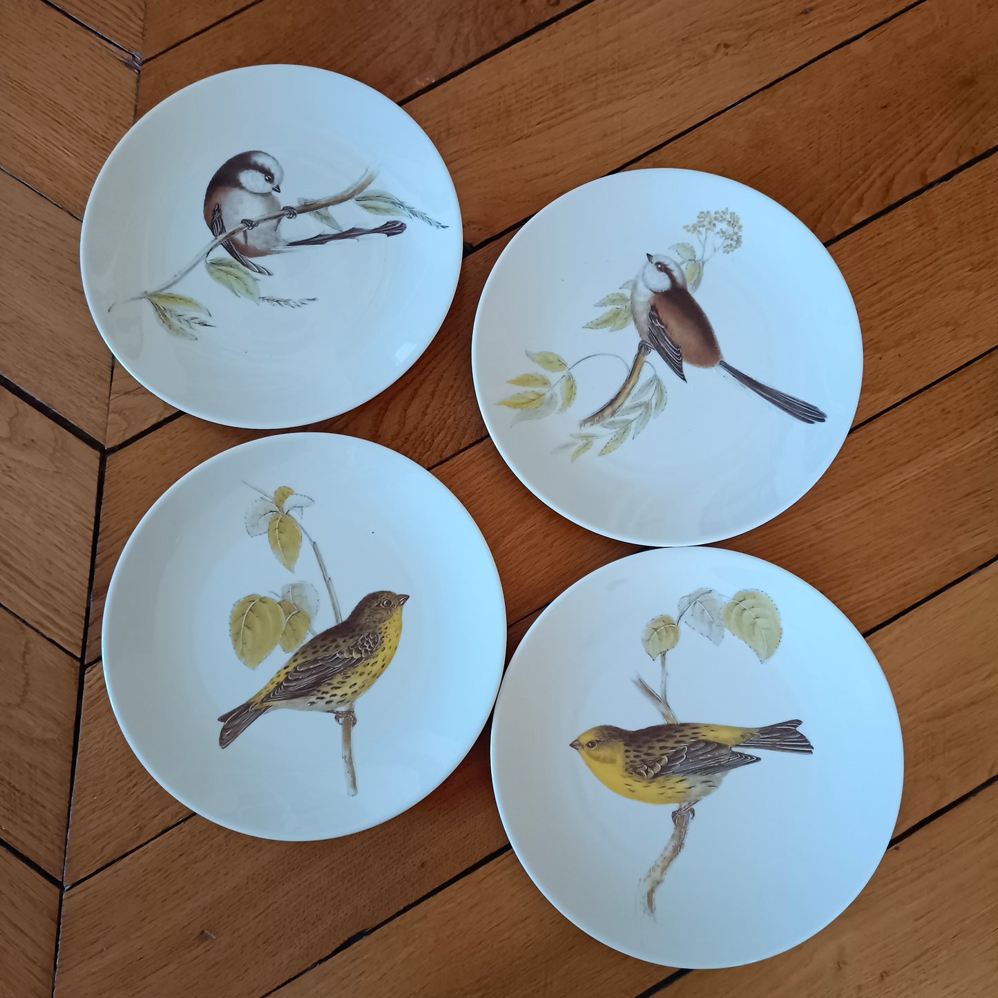 Assiette Porcelaine de Sologne