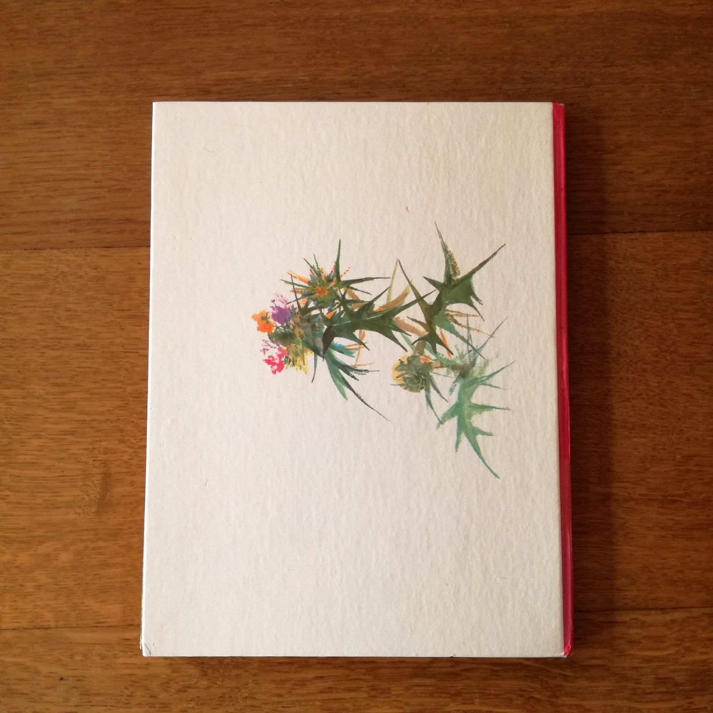 Livre jeunesse Delagrave