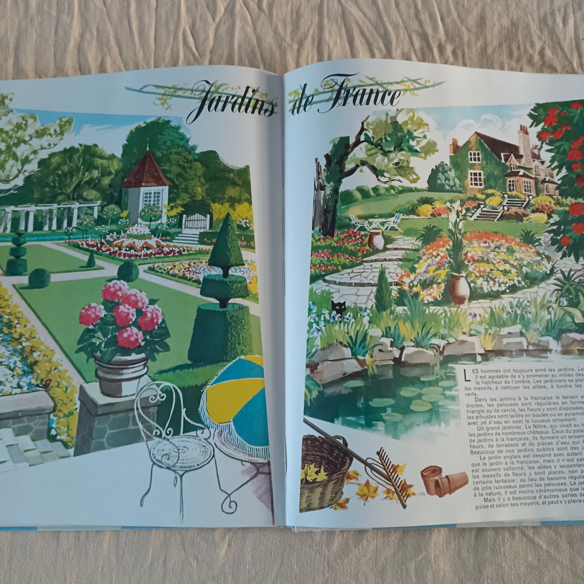 Encyclopédie Encyclopédie en couleurs Hachette