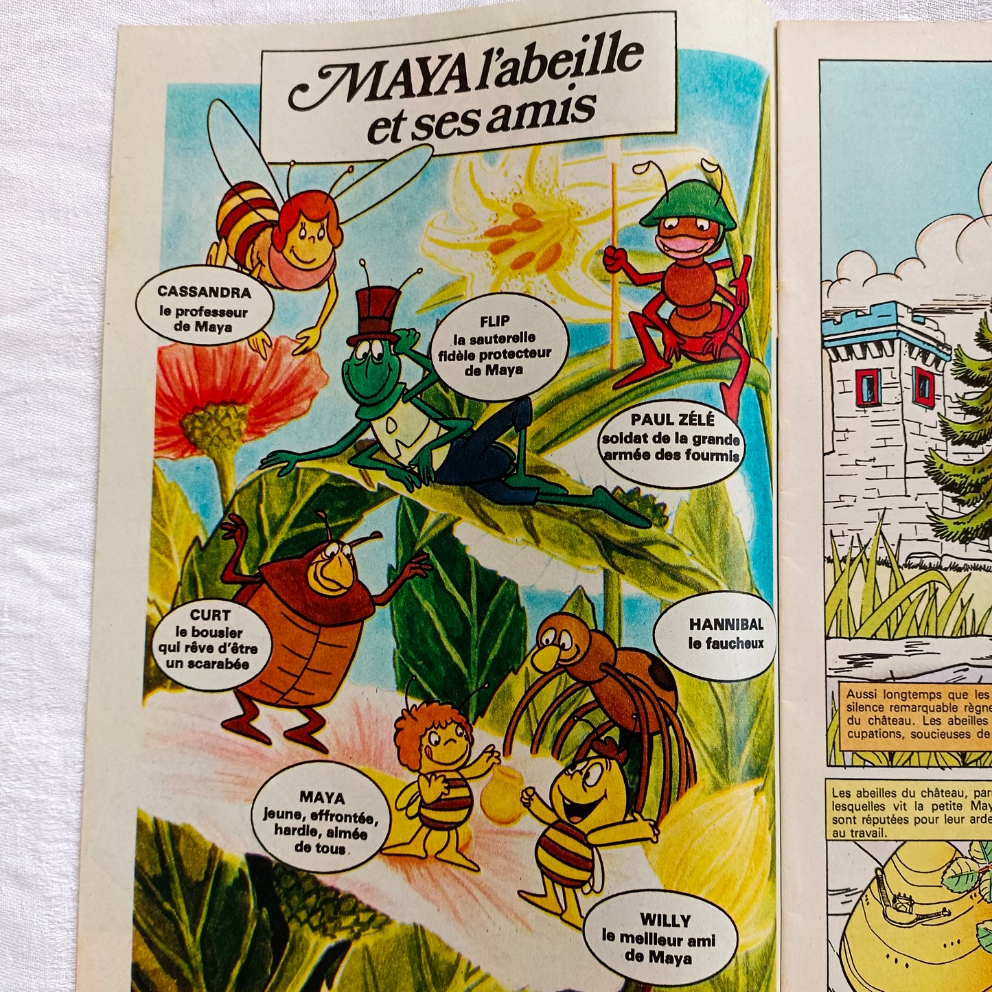 Revue / Magazine Maya l'Abeille Rhodania