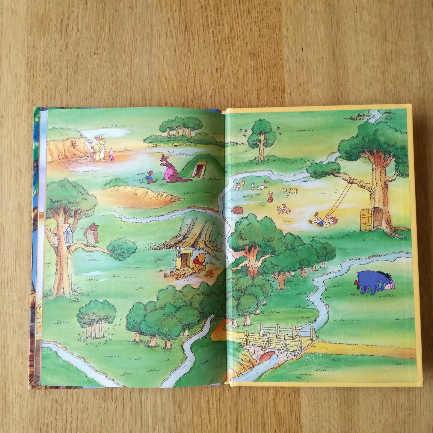 Livre jeunesse Disney Club du Livre Hachette