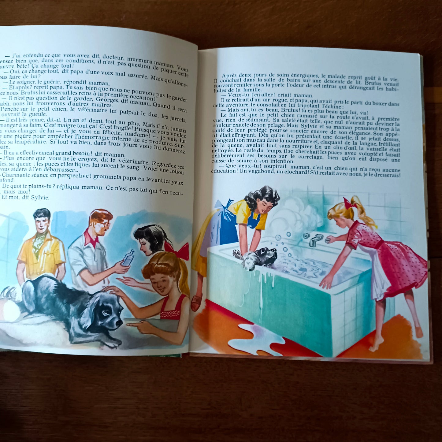 Livre jeunesse Jeunes années Bias
