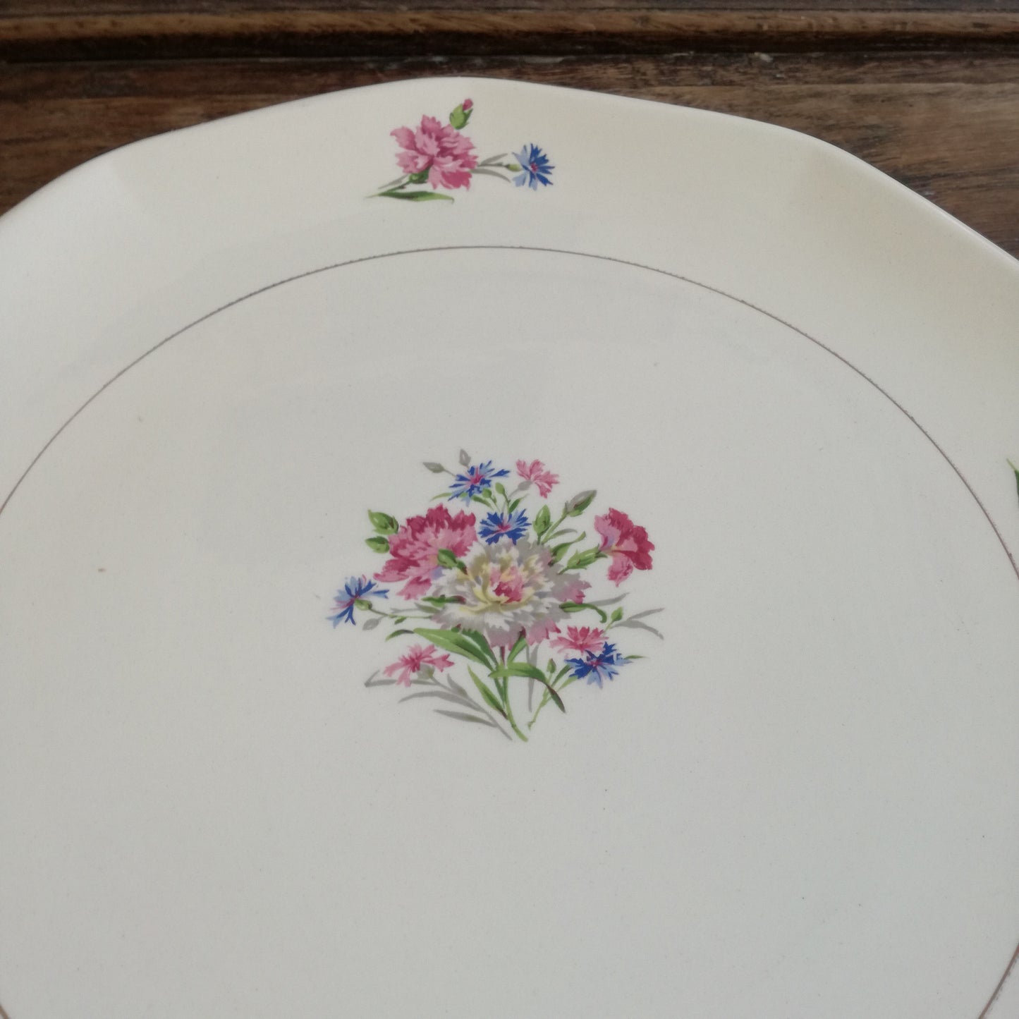 Plat Nice Digoin & Sarreguemines
