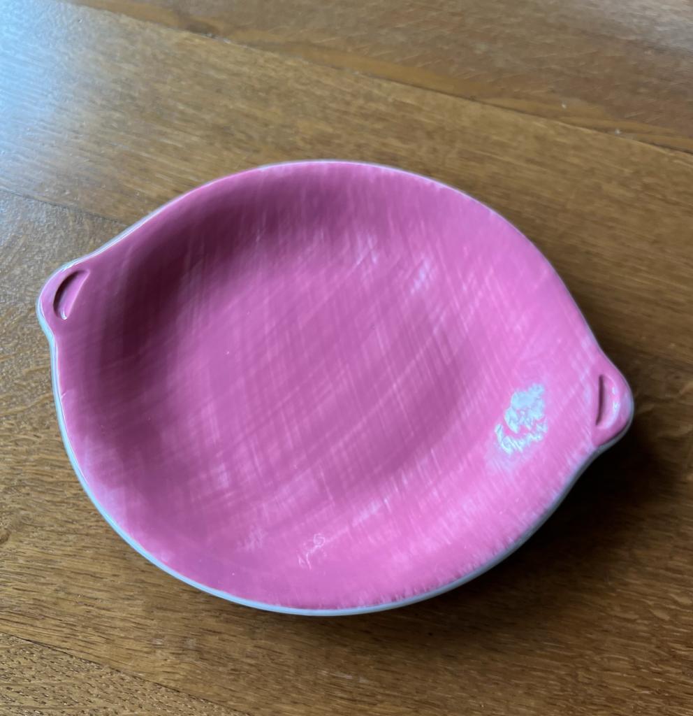 Plat Mistral Salins