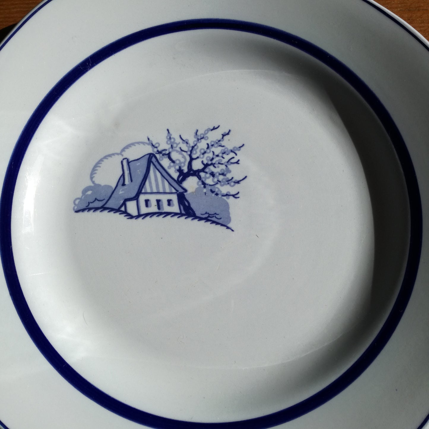 Plat Aubépine Sarreguemines