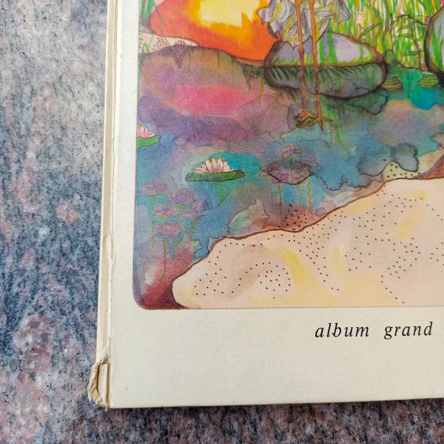 Livre jeunesse Les Albums Grand Carré Magnard