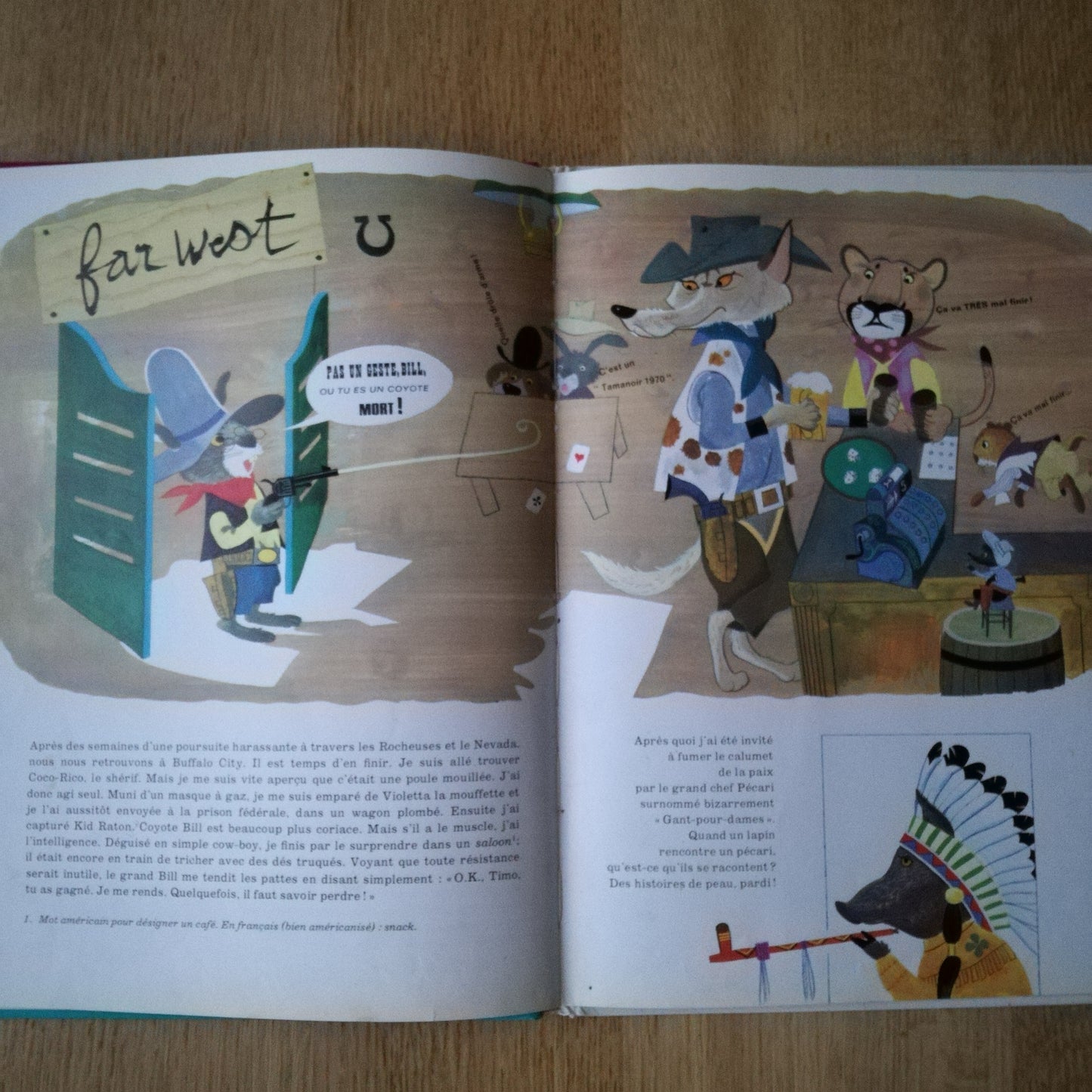 Livre jeunesse Timoléon Hachette