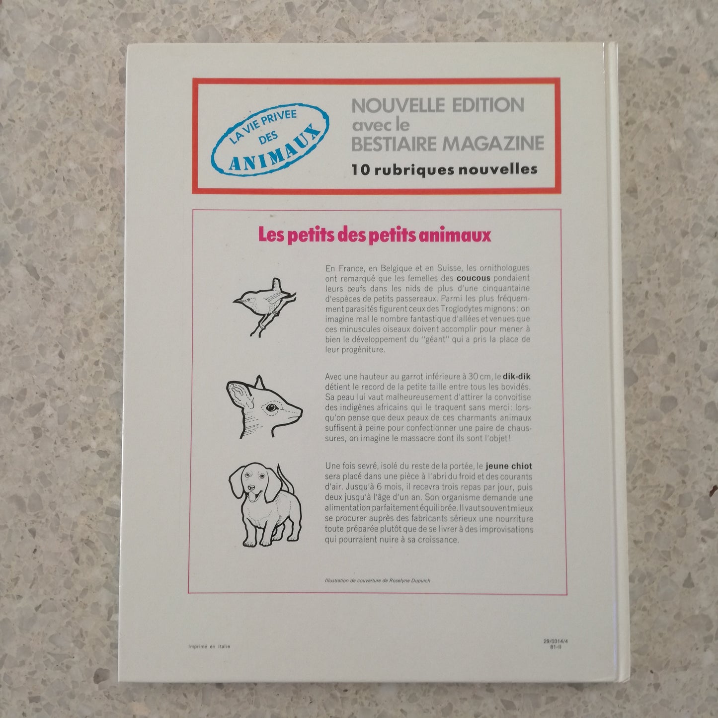 Livre jeunesse La vie privée des animaux Hachette