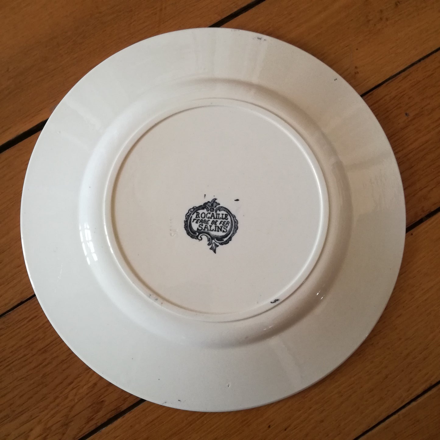 Assiette - grande plate Rocaille Salins