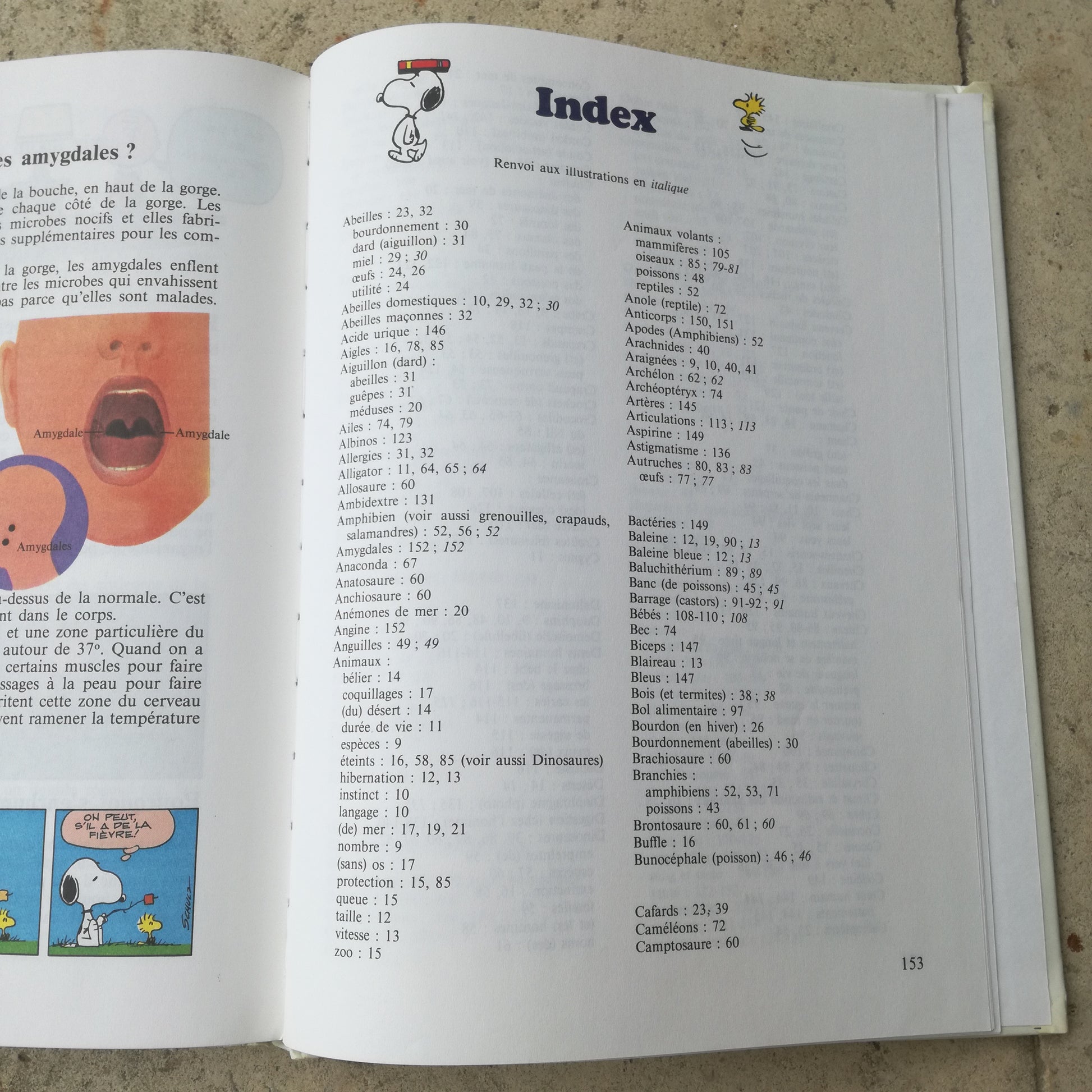 Livre jeunesse Charlie Brown Dargaud