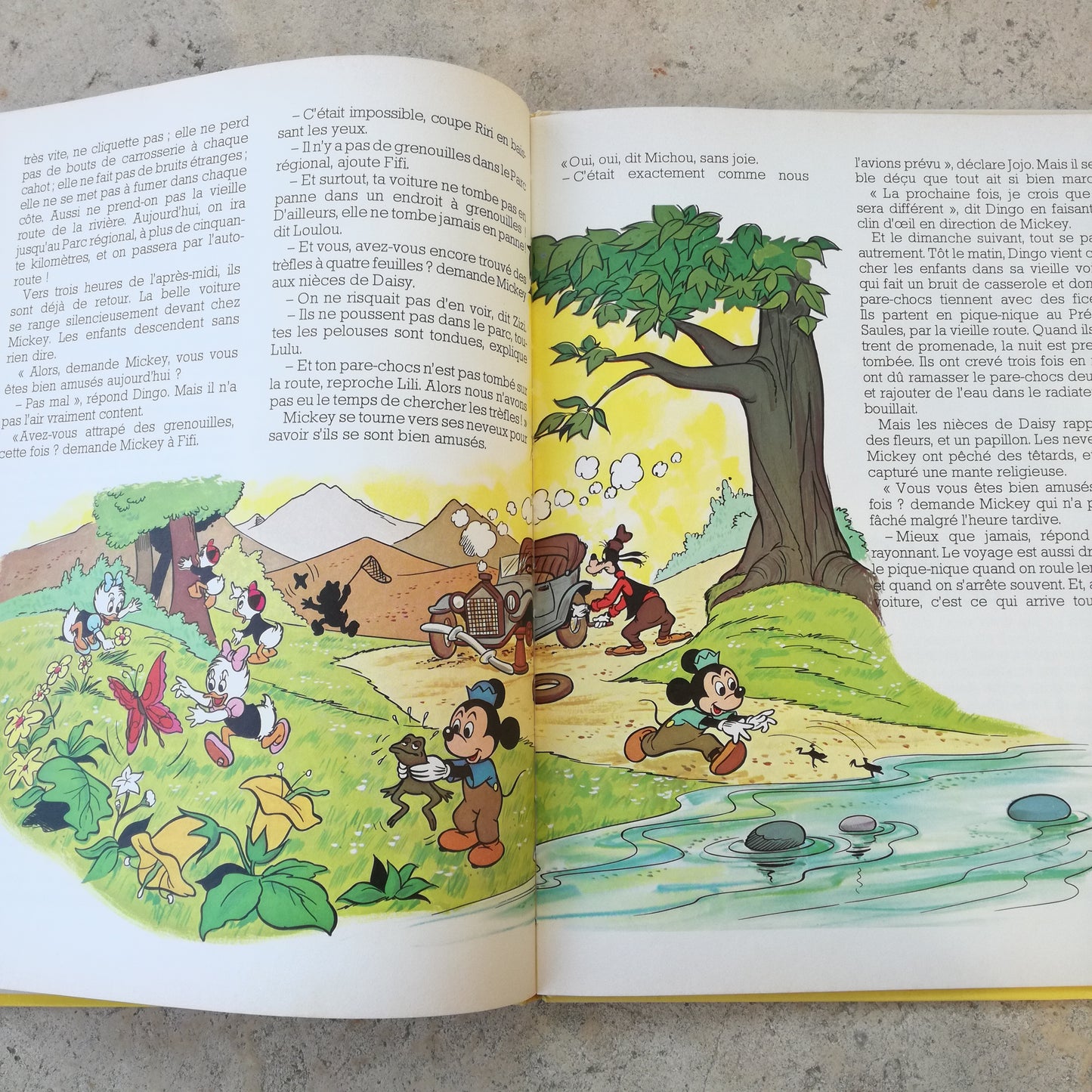 Livre jeunesse Le Jardin des Rêves Hachette