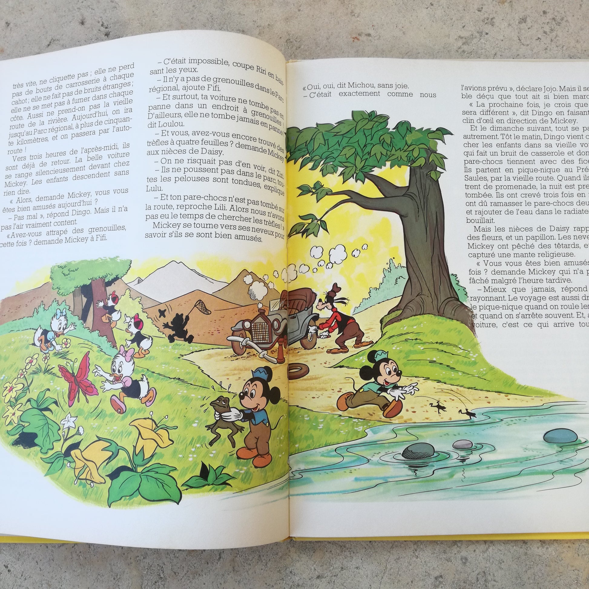 Livre jeunesse Le Jardin des Rêves Hachette