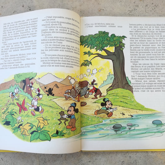 Livre jeunesse Le Jardin des Rêves Hachette