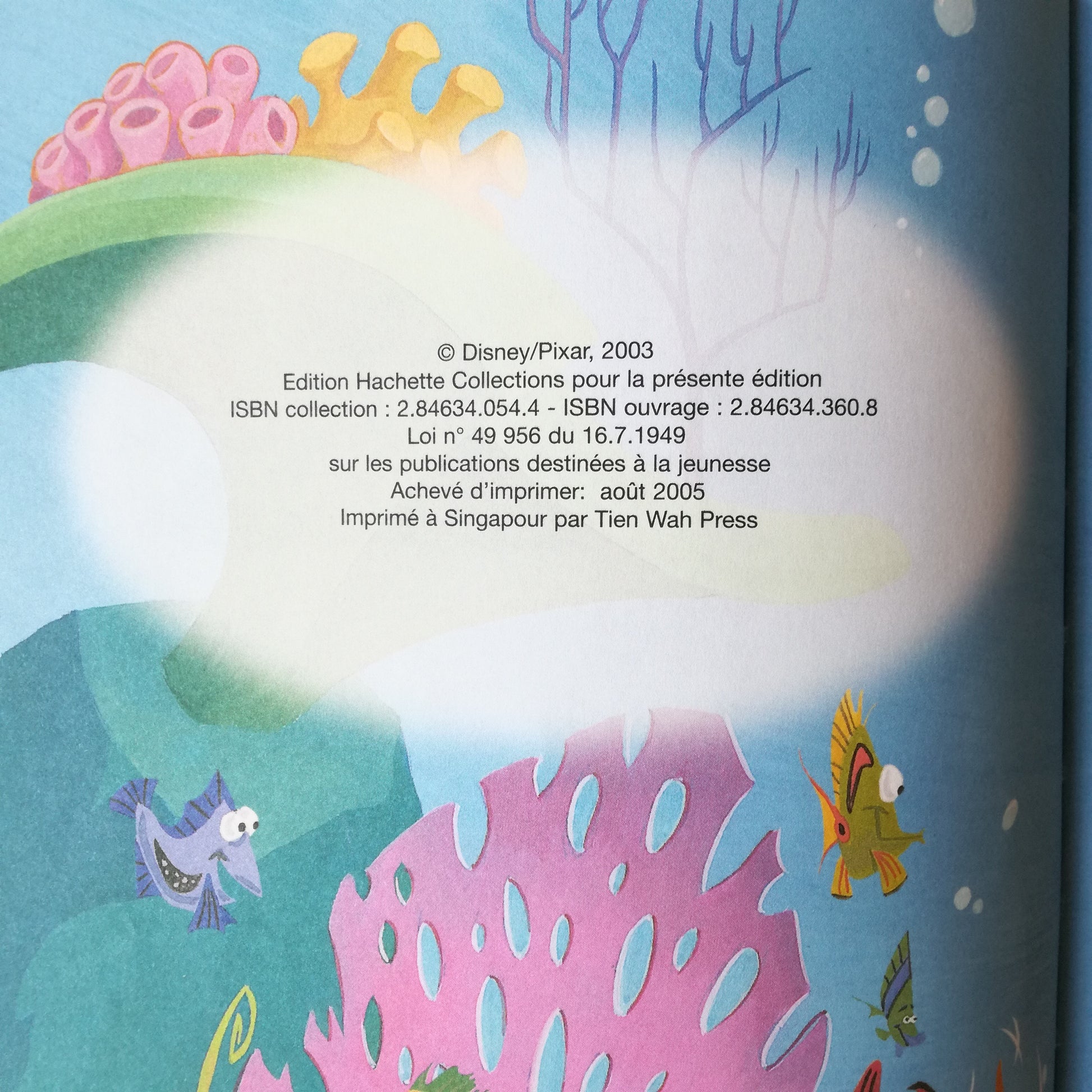 Livre jeunesse Disney Club du Livre Hachette