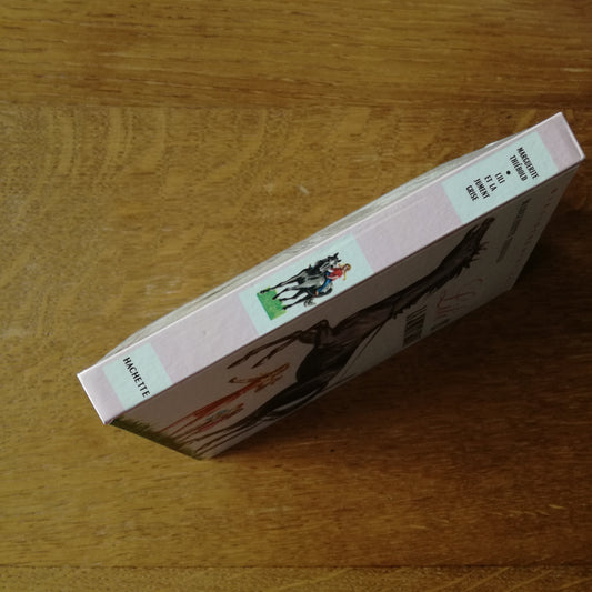 Livre jeunesse Lili Hachette