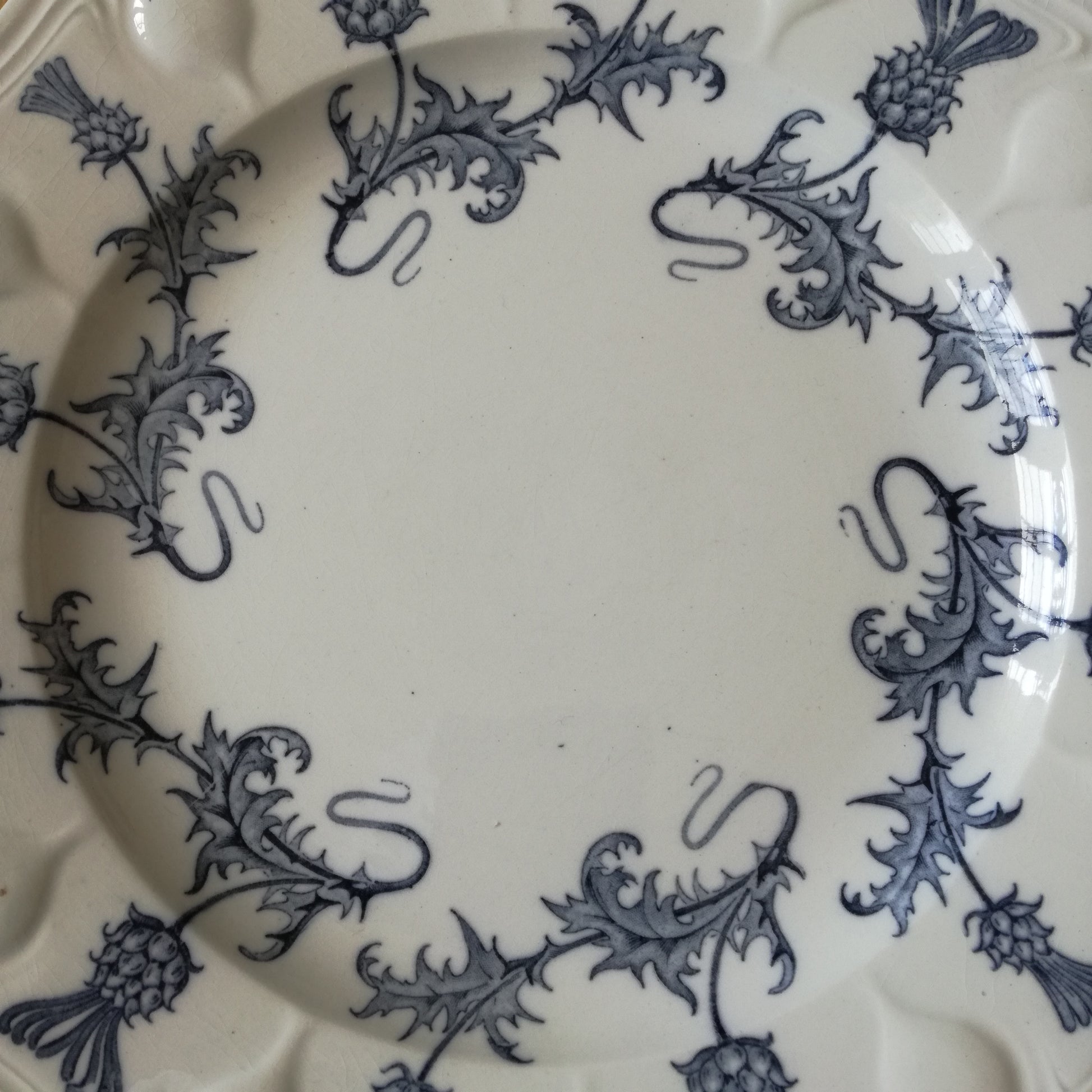 Assiette - grande plate Chardons Sarreguemines