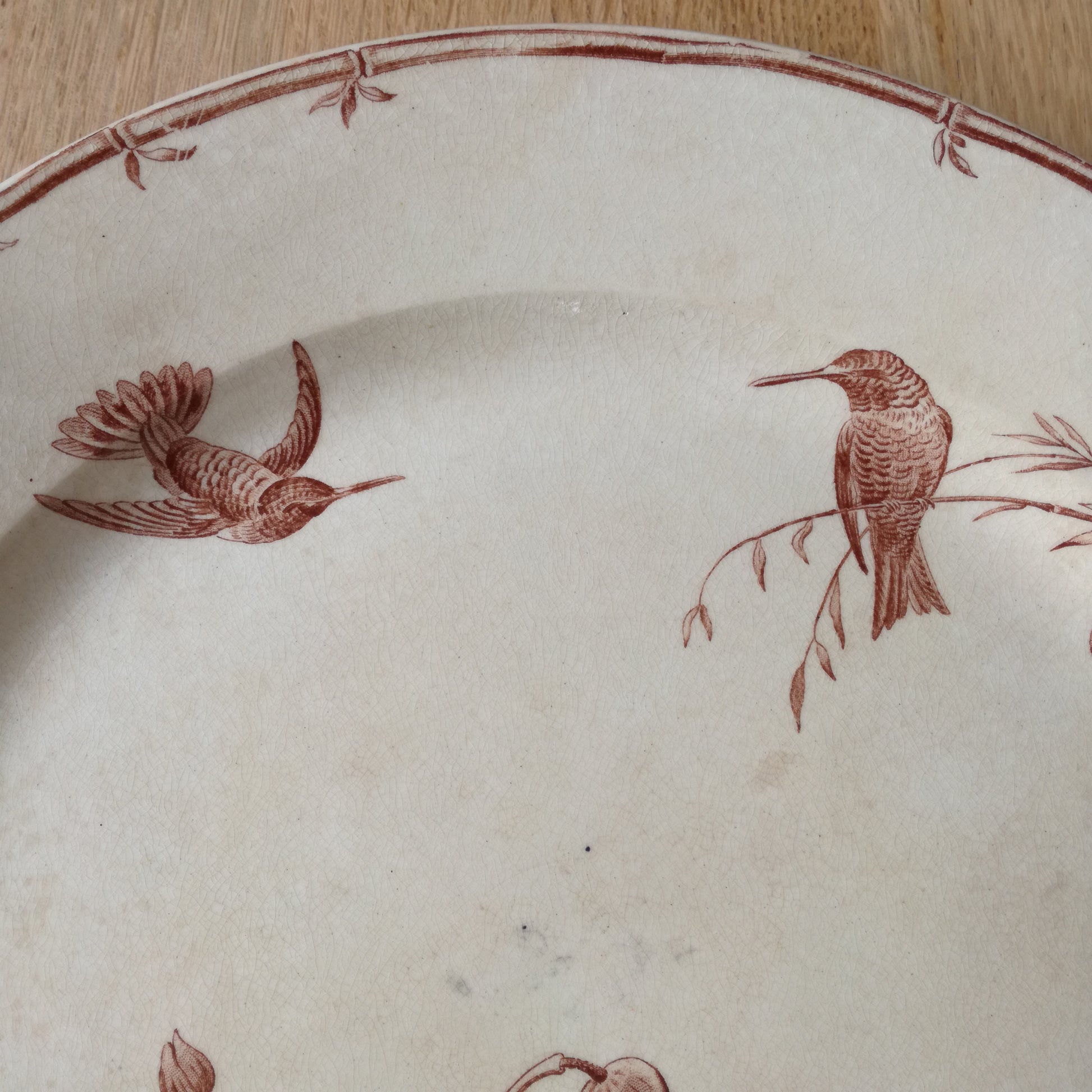 Plat Oiseaux-Mouches Gien