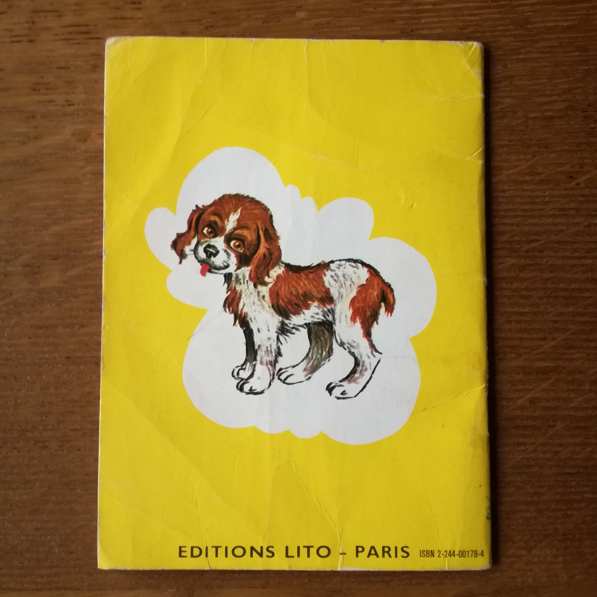 Livre jeunesse Junior Lito