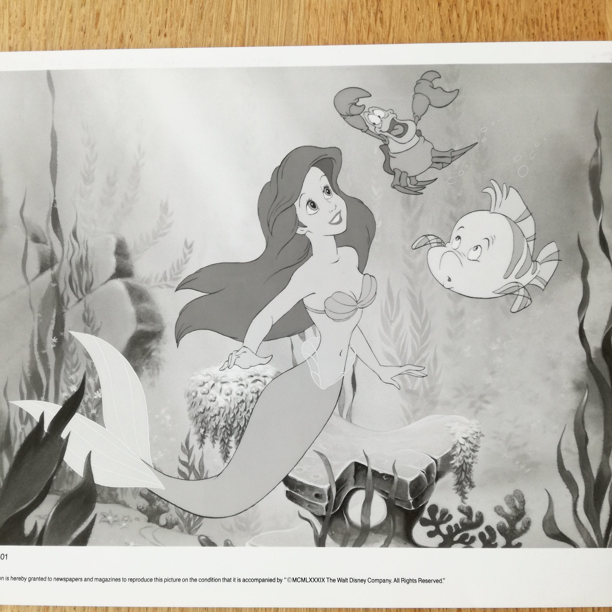 Photographie  Walt Disney