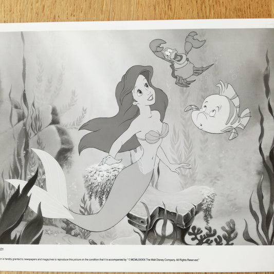 Photographie  Walt Disney