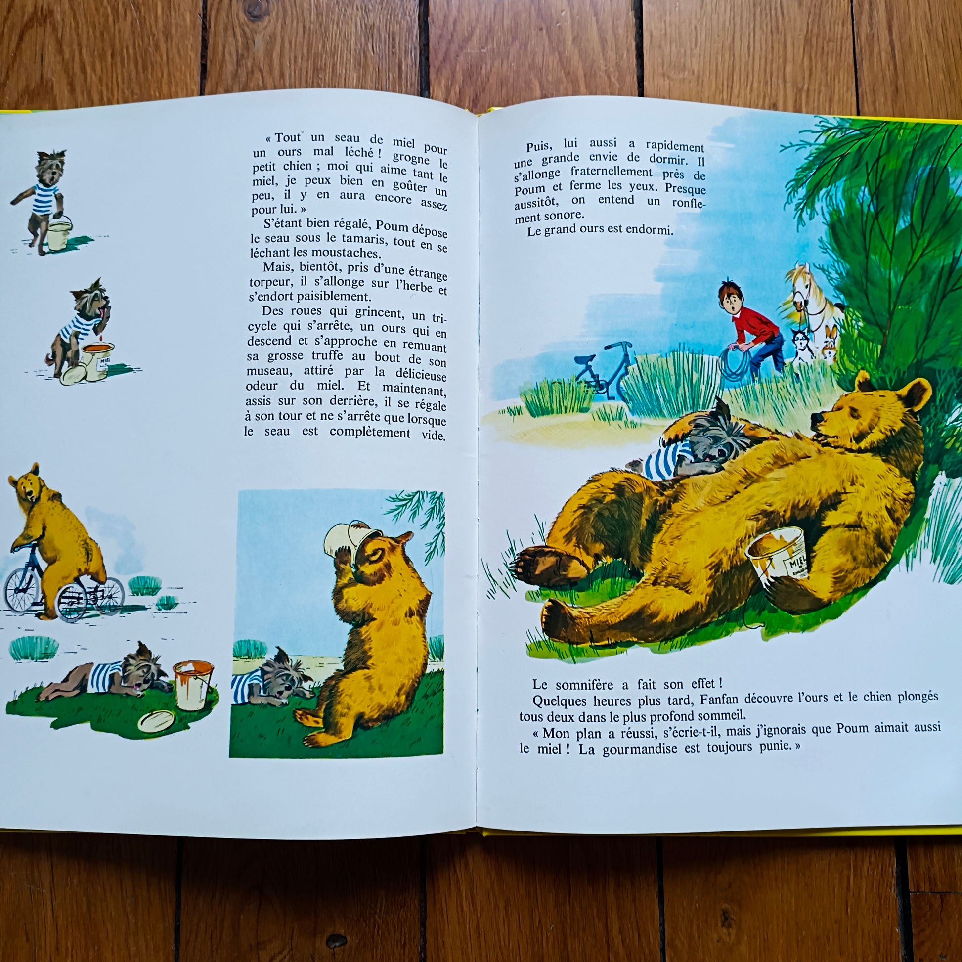 Livre jeunesse Le Jardin des Rêves Hachette