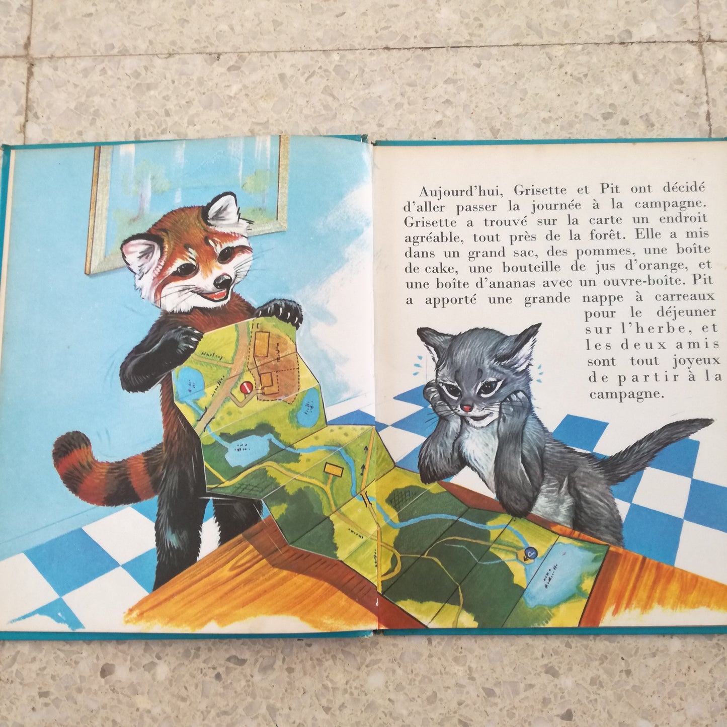 Livre jeunesse Belles années Lito