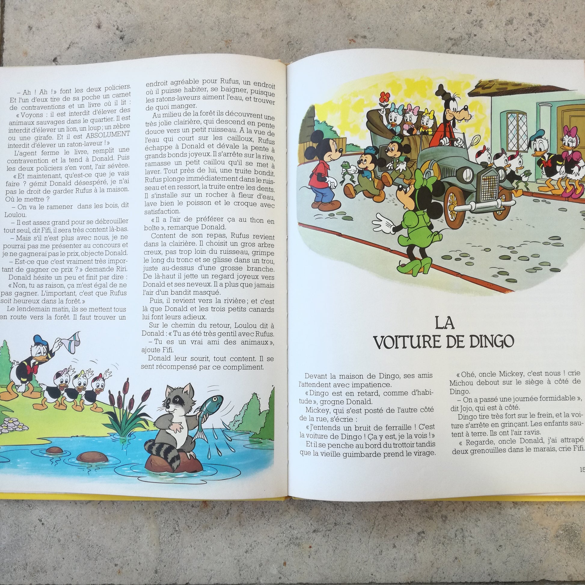 Livre jeunesse Le Jardin des Rêves Hachette