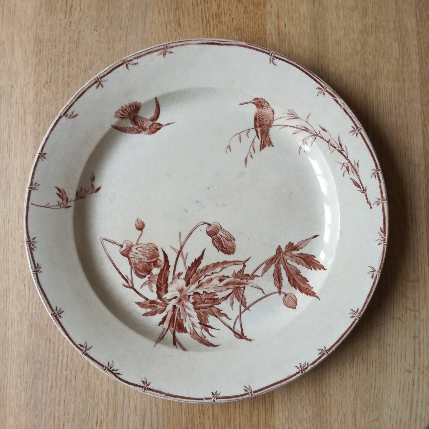 Plat Oiseaux-Mouches Gien