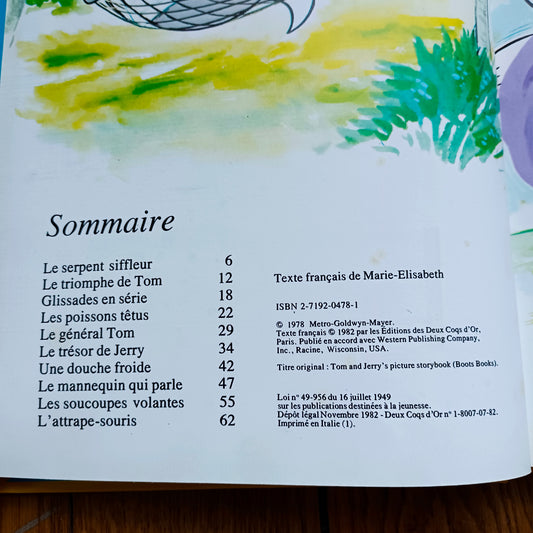 Livre jeunesse Contes Histoires Deux Coqs d'Or