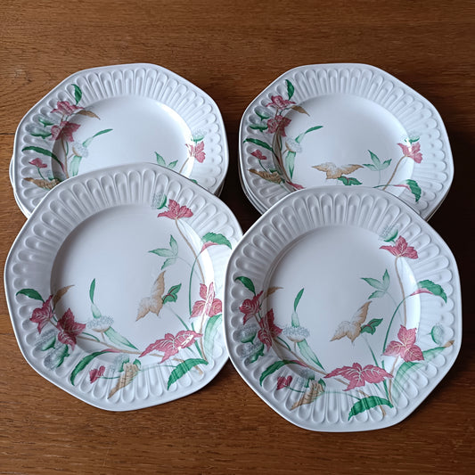 Assiette  Pontesa