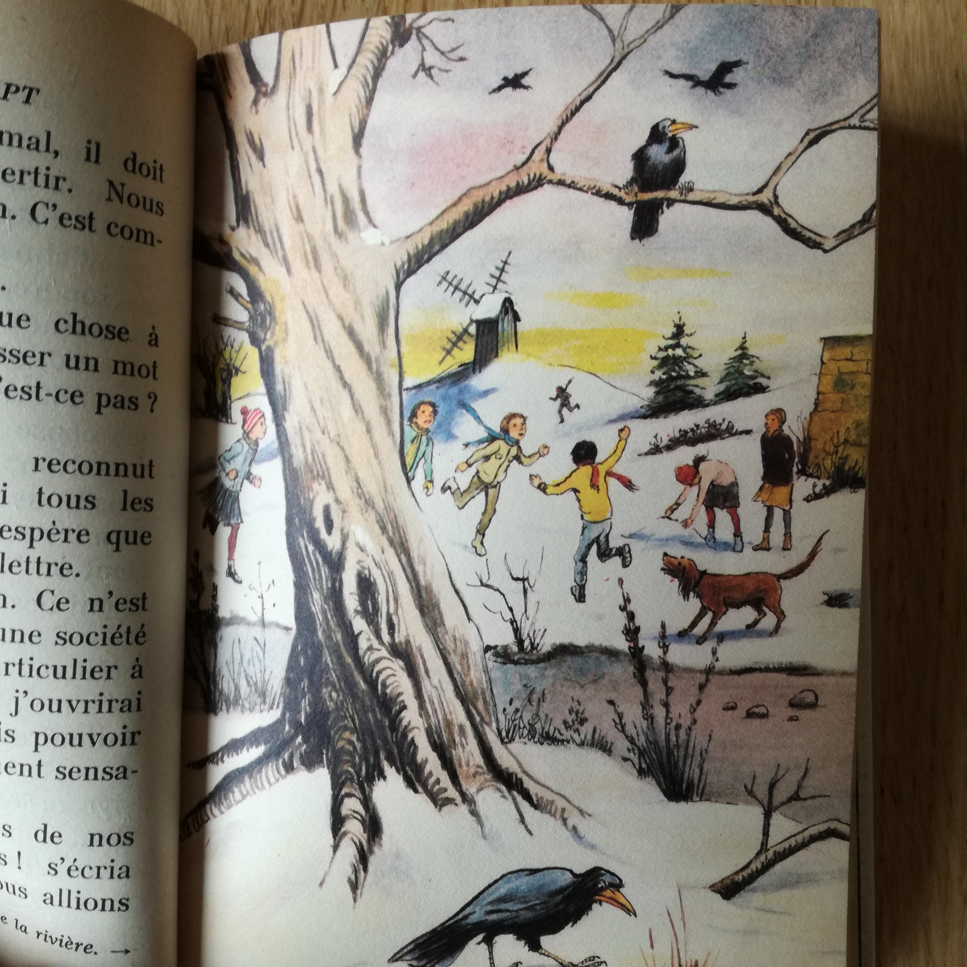 Livre jeunesse Le Clan des Sept 