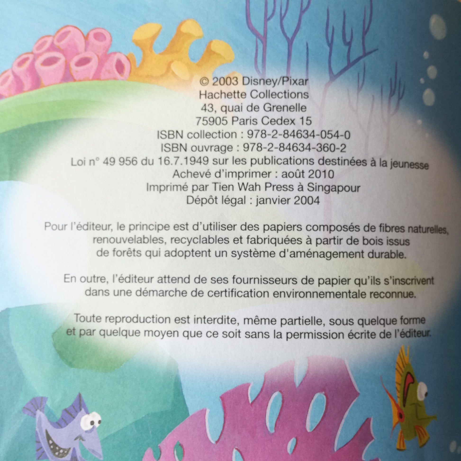 Livre jeunesse Disney Club du Livre Hachette