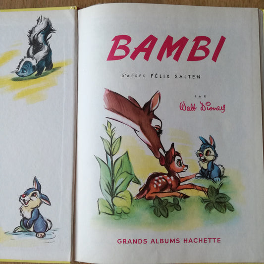 Livre jeunesse  Hachette