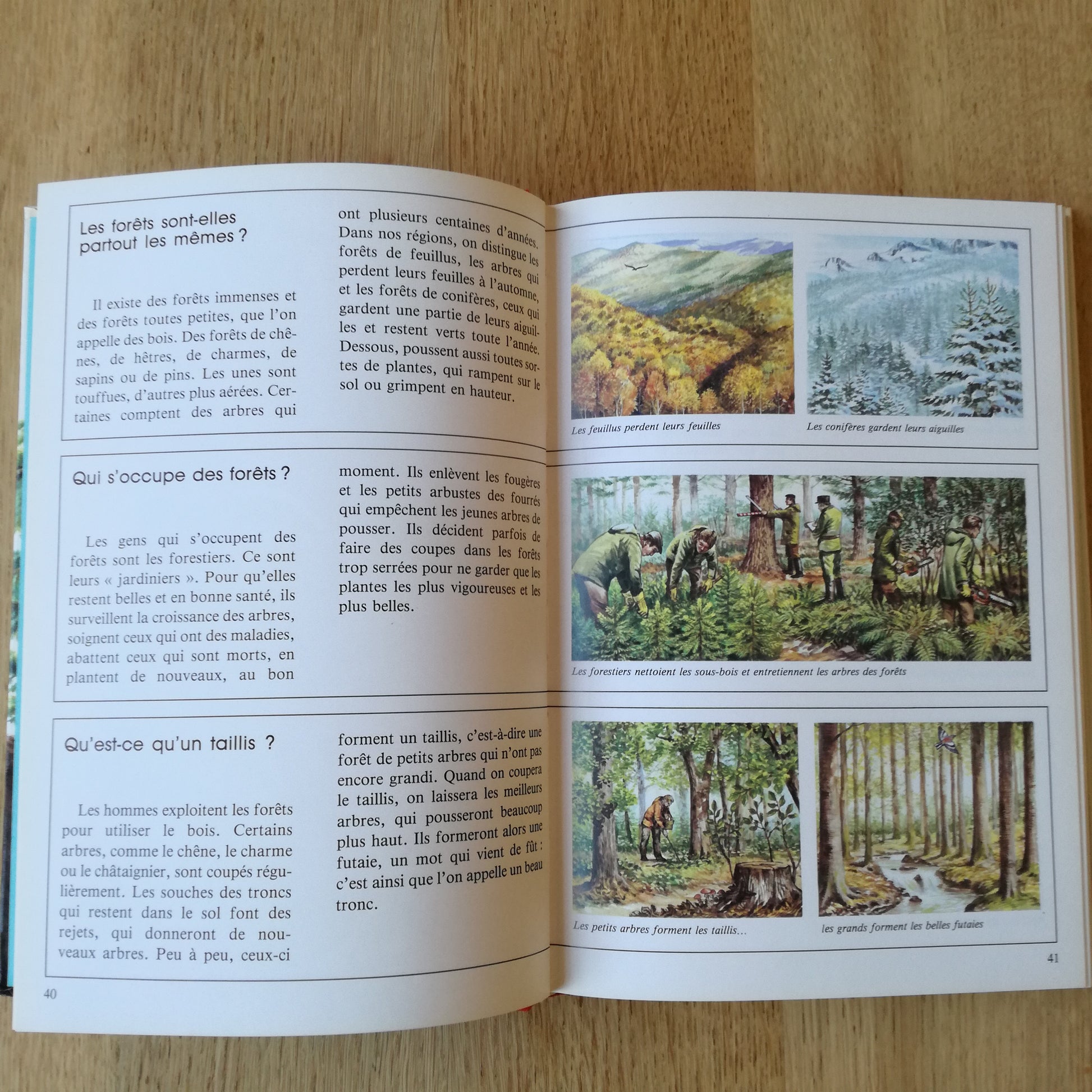 Livre jeunesse  Nathan