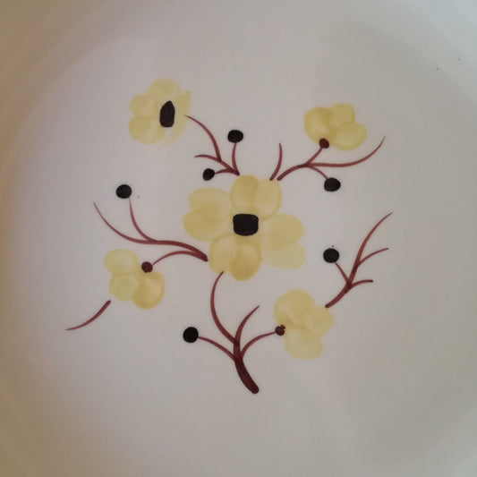 Plat Catherine Salins