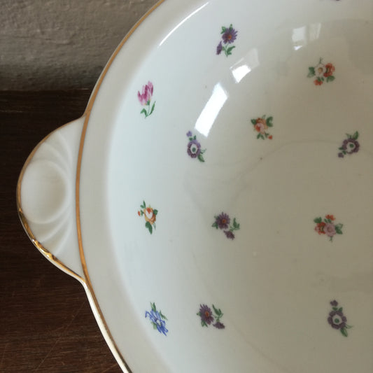 Légumier  Limoges - Pallas