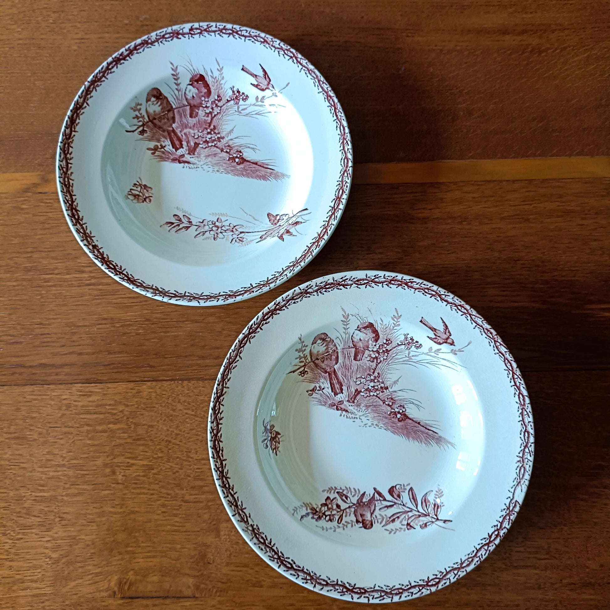 Assiette - creuse / calotte  Compagnie Franco-Anglaise