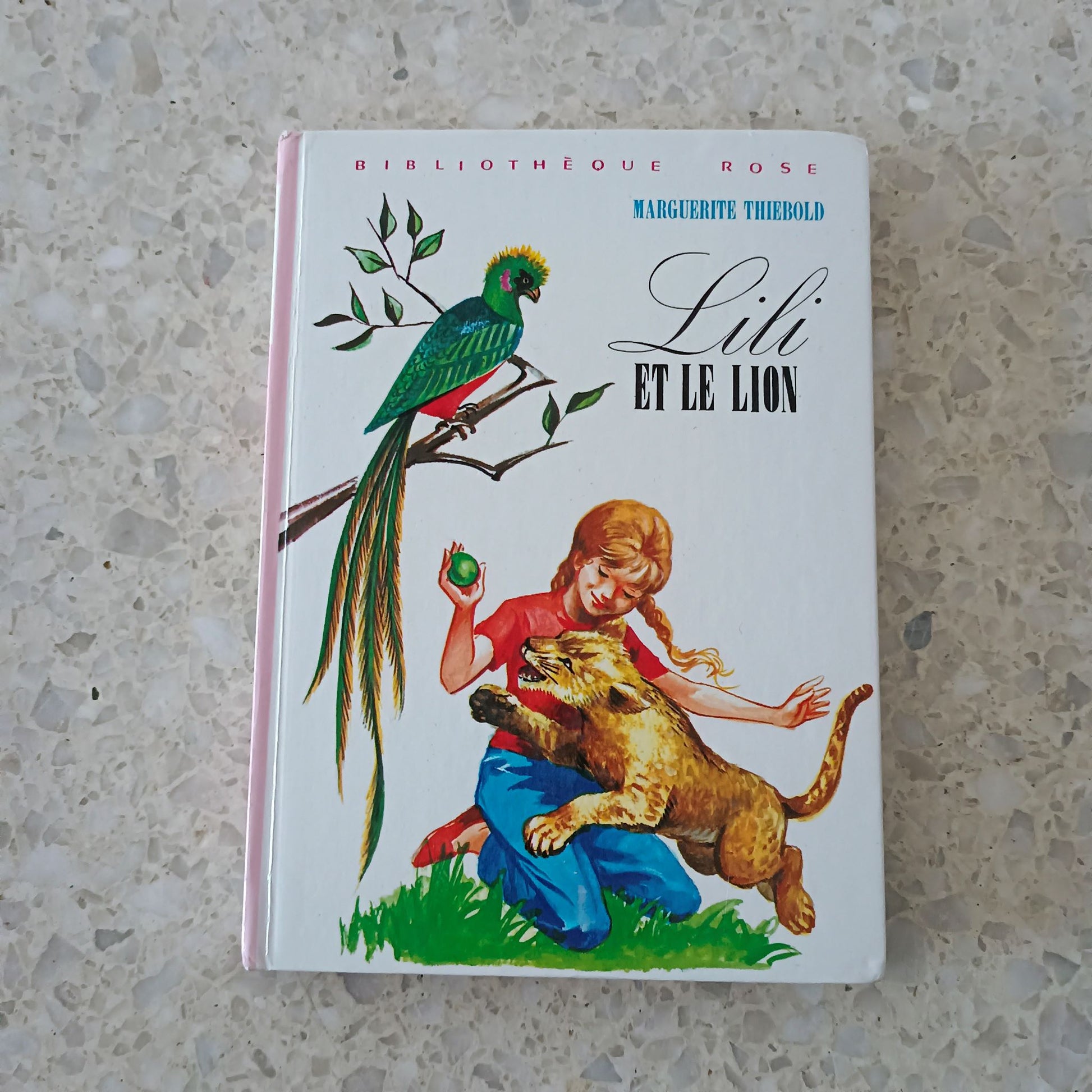 Livre jeunesse Lili Hachette