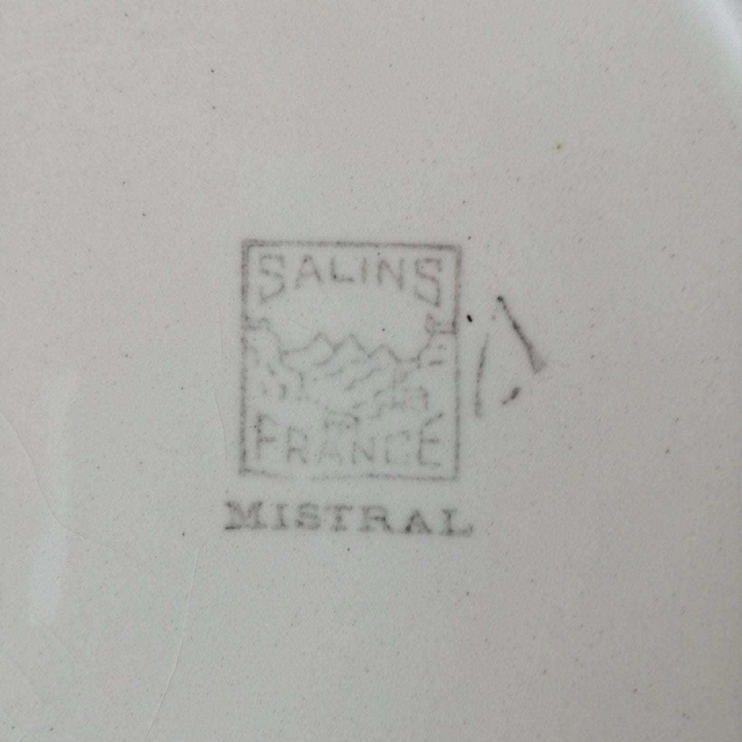 Plat Mistral Salins