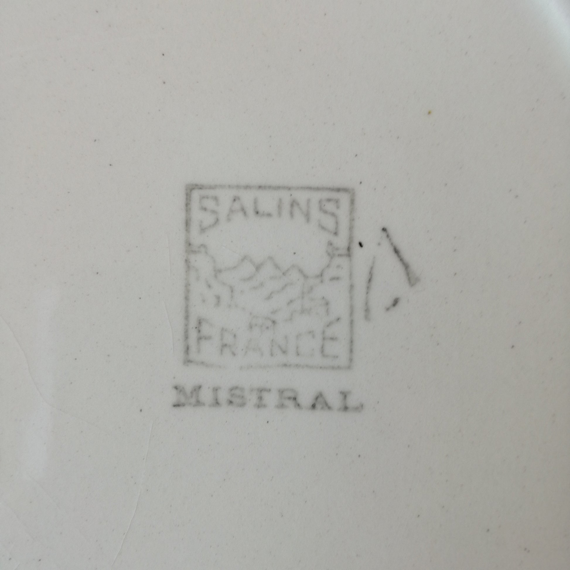 Plat Mistral Salins