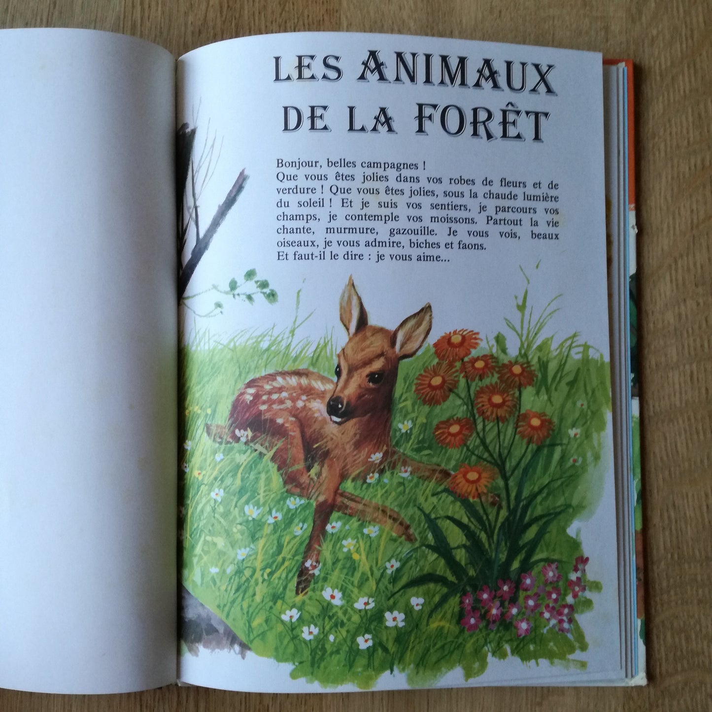 Livre jeunesse  Hemma
