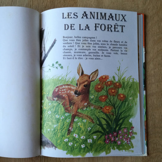 Livre jeunesse  Hemma