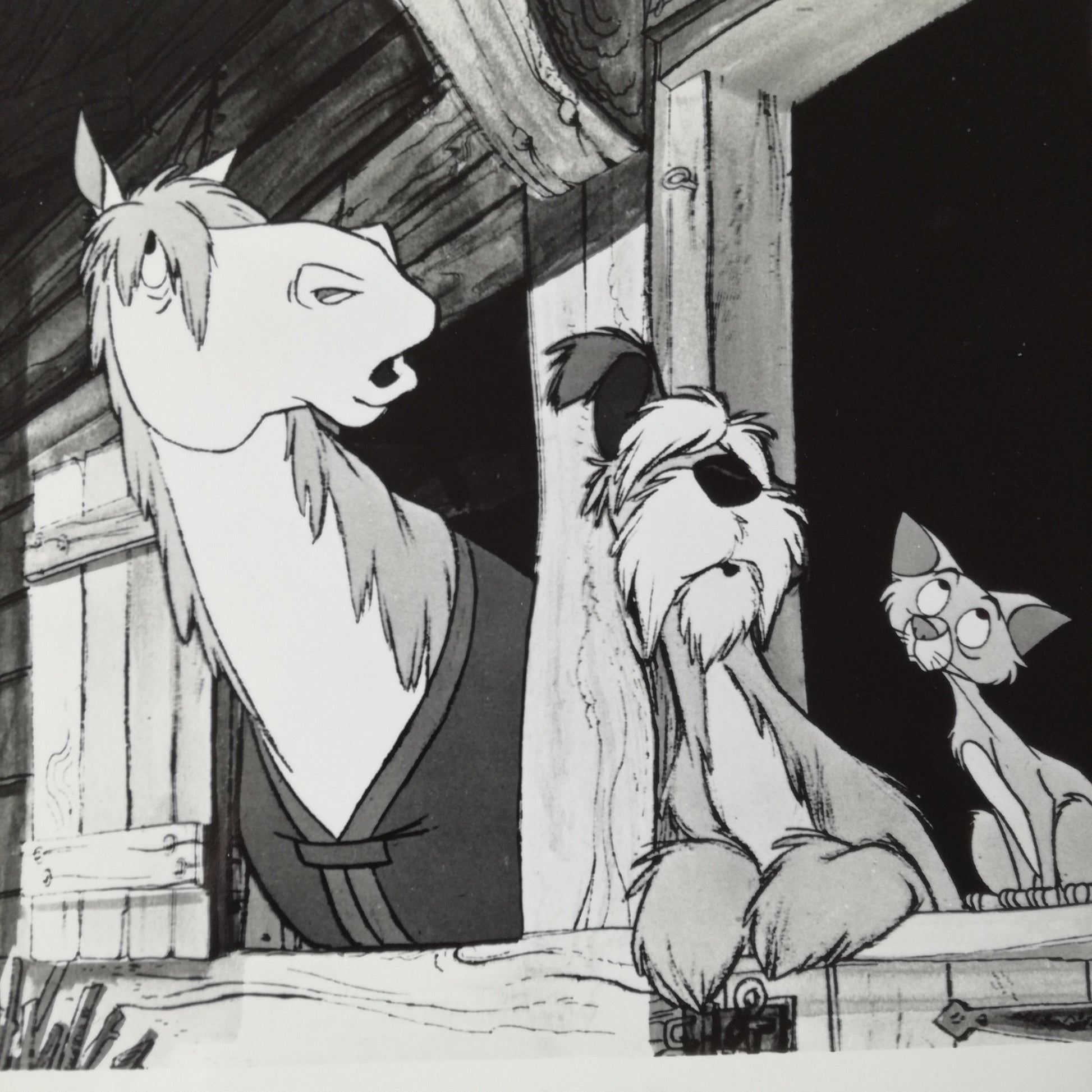 Photographie  Walt Disney
