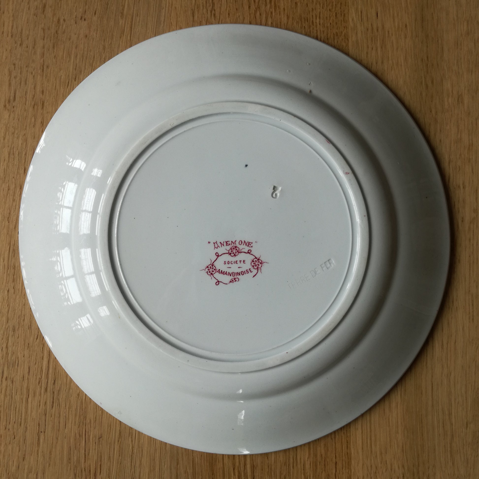 Plat Anémone Société Amandinoise - St Amand